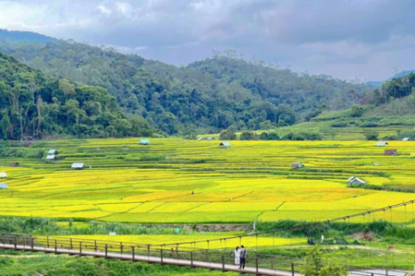 Tour Gia Lai - Măng Đen - Buôn Ma Thuột 3 Ngày 3 Đêm | Xe Giường Nằm Chất Lượng Cao Tour Gia Lai - Măng Đen - Buôn Ma Thuột 3 Ngày 3 Đêm | Xe Giường Nằm Chất Lượng Cao
