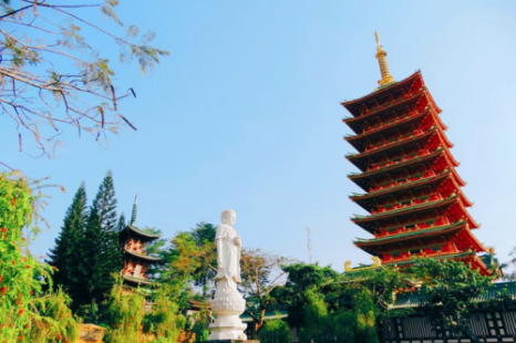 Tour Gia Lai - Măng Đen - Buôn Ma Thuột 3 Ngày 3 Đêm | Xe Giường Nằm Chất Lượng Cao Tour Gia Lai - Măng Đen - Buôn Ma Thuột 3 Ngày 3 Đêm | Xe Giường Nằm Chất Lượng Cao