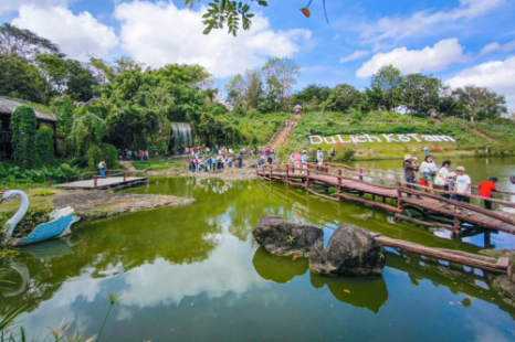 Tour Gia Lai - Măng Đen - Buôn Ma Thuột 3 Ngày 3 Đêm | Xe Giường Nằm Chất Lượng Cao Tour Gia Lai - Măng Đen - Buôn Ma Thuột 3 Ngày 3 Đêm | Xe Giường Nằm Chất Lượng Cao