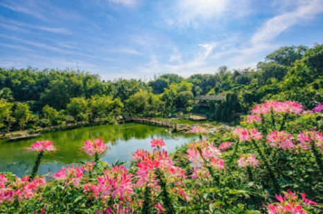Tour Gia Lai - Măng Đen - Buôn Ma Thuột 3 Ngày 3 Đêm | Xe Giường Nằm Chất Lượng Cao Tour Gia Lai - Măng Đen - Buôn Ma Thuột 3 Ngày 3 Đêm | Xe Giường Nằm Chất Lượng Cao