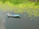 Mùa hè mang cần đi câu tại Vườn quốc gia U Minh Thượng