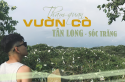 Tham quan vườn cò Tân Long Sóc Trăng