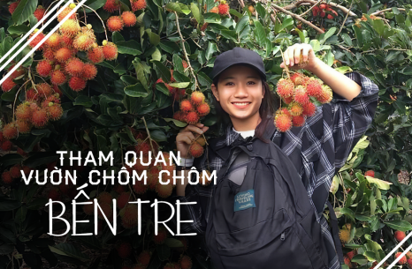 Thẳng tiến miệt vườn chôm chôm Bến Tre ăn không giới hạn chỉ 40k