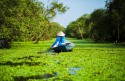 Du lịch miền Tây nên đi tỉnh nào? Viet Fun Travel sẽ giải đáp cho quý khách