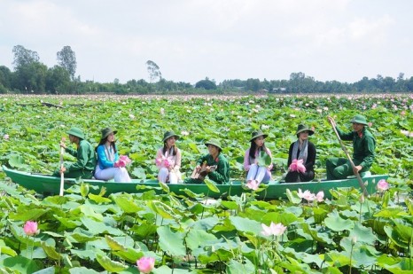 Đi phượt Đồng Sen Tháp Mười nên hay không?