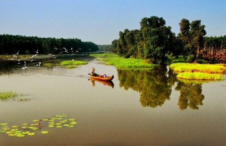 Đi Cao Lãnh Đồng Tháp có gì chơi?