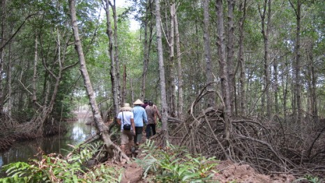 Khu du lịch sinh thái Rừng Đước Trà Vinh