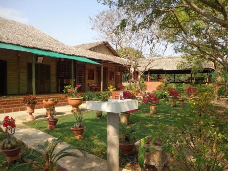 Trải nghiệm homestay và dạo vườn trái cây ở cù lao An Bình