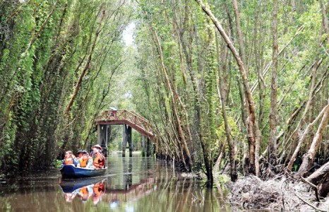 Những kinh nghiệm đi phượt làng nổi Tân Lập