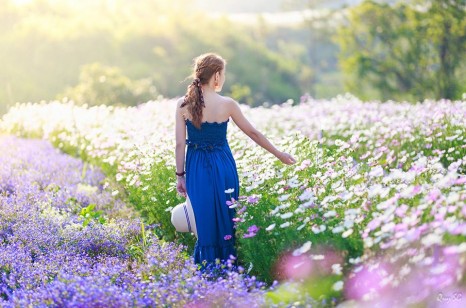 Du lịch Đà Lạt tháng 7 có gì đẹp? mùa hoa Lavender rạng rỡ Du lịch Đà Lạt tháng 7 có gì đẹp? mùa hoa Lavender rạng rỡ