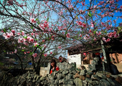 Du lịch Sapa tháng 2 – Bức tranh thiên nhiên mùa xuân đẹp ngỡ ngàng