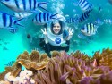 TOP 5 địa điểm lặn ngắm san hô đẹp mùa hè này
