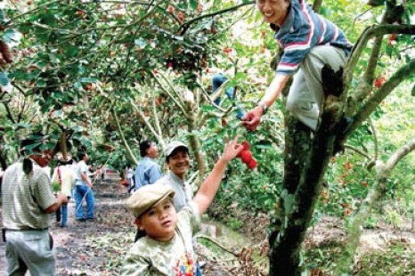 Tour Du Lịch Hà Nội - Miền Tây - Sài Gòn 6 Ngày