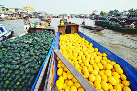 Tour Du Lịch Hà Nội - Cần Thơ 02 Ngày 01 Đêm