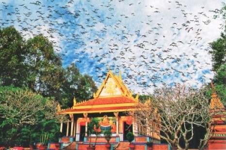 Tour Du Lịch Đà Nẵng - Nha Trang - Miền Tây Nam Bộ 11 Ngày