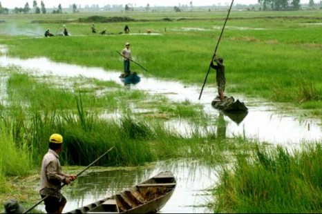 Tour Du Lịch Sài Gòn - Tây Ninh - Mỹ Tho - Bến Tre - Cần Thơ 5 Ngày