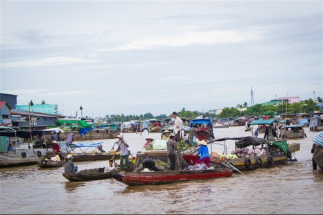 Tour Đà Nẵng - Sài Gòn - Miệt Vườn Miền Tây - Đà Lạt 5 Ngày