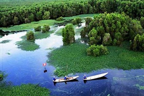 Tour Du Lịch Cà Mau - U Minh - Vườn Cò - Trà Sư 4 Ngày 3 Đêm