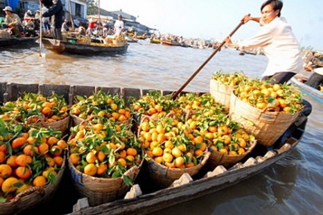 Tour Du Lịch Đà Lạt - Miền Tây - Phú Quốc 11 Ngày