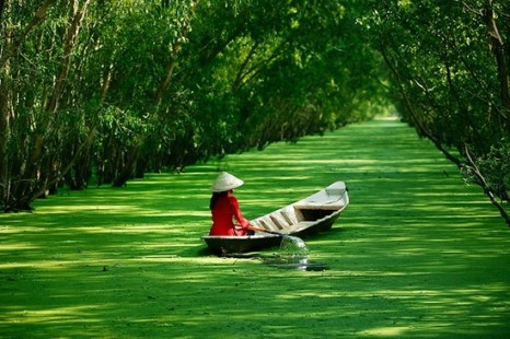 Tour Du Lịch Đà Nẵng - Cần Thơ - Mỹ Tho - Đồng Tháp - Châu Đốc 4 Ngày 3 Đêm