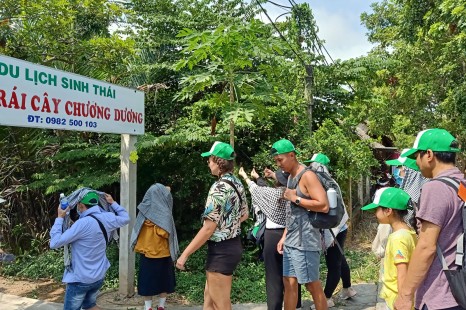 Tour Miền Tây 1 Ngày (MỸ THO - BẾN TRE) | Cồn Lân - Chèo Xuồng Ba Lá - Đi Xe Ngựa/Xe Lam - Chùa Vĩnh Tràng