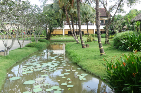 Tour Miền Tây 1 Ngày (MỸ THO - BẾN TRE) | Cồn Lân - Chèo Xuồng Ba Lá - Đi Xe Ngựa/Xe Lam - Chùa Vĩnh Tràng