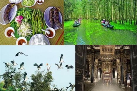 Tour Du Lịch Đồng Tháp (Tràm Chim - Gáo Giồng) 2 Ngày 1 Đêm