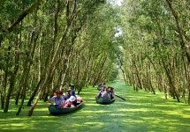 Tour Du Lịch Đồng Tháp (Tràm Chim - Gáo Giồng) 2 Ngày 1 Đêm