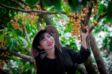 Khám phá miệt vườn trái cây Cái Bè nổi tiếng ở Tiền Giang