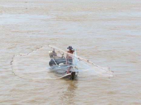 Tắc ráng (Vỏ Lãi) - Phương tiện di chuyển độc đáo ở miền Tây