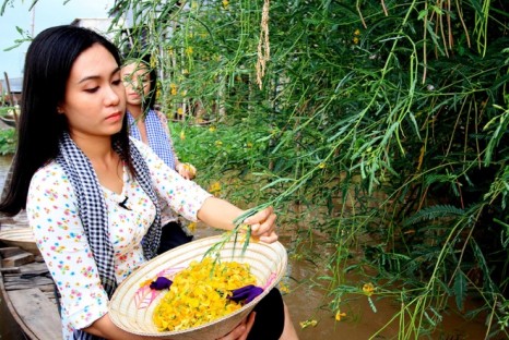 Tham quan du lịch Miền Tây nên đi vào mùa nào là đẹp nhất?