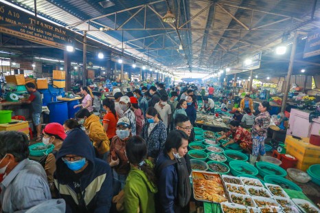 TOUR ĐẢO KHỈ CẦN GIỜ 1 Ngày | Rừng Ngập Mặn - Khu Bảo Tồn Cá Sấu - Căn Cứ Rừng Sác - Biển - Chợ Hải Sản