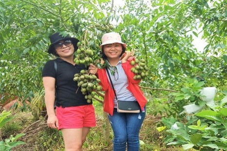 Tour Miền Tây 1 Ngày (CÁI BÈ - VĨNH LONG) | Cù Lao Tân Phong - Chợ Nổi - Vào Vườn Trái Cây ĂN "MỆT NGHỈ"