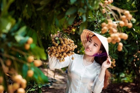 Tour Miền Tây 1 Ngày (CÁI BÈ - VĨNH LONG) | Cù Lao Tân Phong - Chợ Nổi - Vào Vườn Trái Cây ĂN "MỆT NGHỈ"