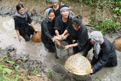 Tour Du Lịch Miền Tây 1 Ngày (Chợ Nổi Cái Bè - Kdl Vinh Sang )