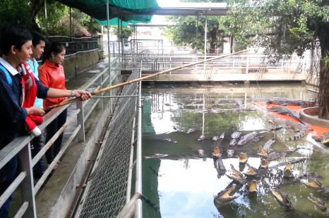 Tour Miền Tây - Vườn Trái Cây 3 Ngày 2 Đêm | Combo Cần Thơ - Châu Đốc - Sa Đéc