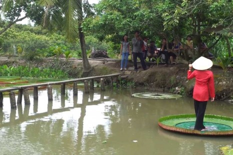 Tour Miền Tây CẦN THƠ - SA ĐÉC 2 Ngày 1 Đêm | Chợ Nổi - Lá Sen Vua - Vườn Trái Cây - Nhà Cổ