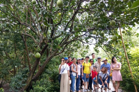 Tour Miền Tây Mỹ Tho - Bến Tre - Cần Thơ - Sa Đéc 3N2Đ | Cù lao - Chợ nổi - Cồn Sơn - Vườn trái cây - Làng hoa