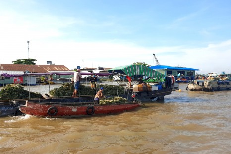 Tour Miền Tây MỸ THO - BẾN TRE - CẦN THƠ 2N1Đ | Cù Lao - Xuồng Ba Lá - Chợ Nổi - Vườn Trái Cây & Viếng Chùa