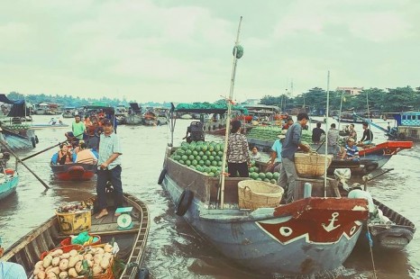 Tour Miền Tây MỸ THO - BẾN TRE - CẦN THƠ 2N1Đ | Cù Lao - Xuồng Ba Lá - Chợ Nổi - Vườn Trái Cây & Viếng Chùa