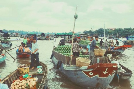 Tour Miền Tây 2N1Đ | "Hòn Ngọc Xanh" Cồn Sơn - Chợ Nổi - Cù Lao - Vườn Trái Cây - Làm Bánh/Xem Cá Lóc "Múa"