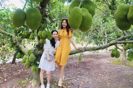 Tour Miền Tây MỸ THO - BẾN TRE - CẦN THƠ 2N1Đ | Cù Lao - Xuồng Ba Lá - Chợ Nổi - Vườn Trái Cây & Viếng Chùa