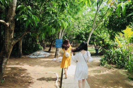 Tour Miền Tây MỸ THO - BẾN TRE - CẦN THƠ 2N1Đ | Cù Lao - Xuồng Ba Lá - Chợ Nổi - Vườn Trái Cây & Viếng Chùa