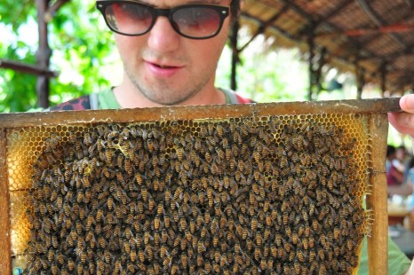 Tour Miền Tây CÁI BÈ - CẦN THƠ 2N1Đ | Cù Lao Tân Phong - Chợ Nổi - Vườn Trái Cây & Viếng Chùa