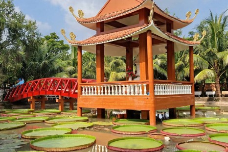 Tour Miền Tây CÁI BÈ - CẦN THƠ 2N1Đ | Cù Lao Tân Phong - Chợ Nổi - Vườn Trái Cây & Viếng Chùa