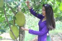 Tour Miền Tây CÁI BÈ - CẦN THƠ 2N1Đ | Cù Lao Tân Phong - Chợ Nổi - Vườn Trái...