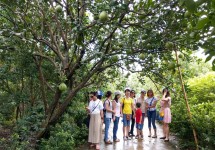 MIỀN TÂY 4 NGÀY | Đi Là Mê Ngay: Về Mỹ Tho – Đến Cần Thơ – Thăm Châu Đốc – Ghé Hà Tiên