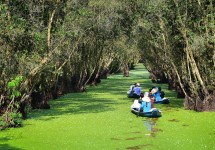 Tour MIỀN TÂY | 3 Ngày 2 Đêm | Mỹ Tho - Bến Tre - Châu Đốc - Cần Thơ