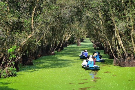 Tour MIỀN TÂY | 3 Ngày 2 Đêm | Mỹ Tho - Bến Tre - Châu Đốc - Cần Thơ