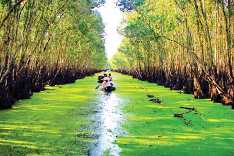 Tour Du Lịch Miền Tây 3 Ngày 2 Đêm (Mỹ Tho – Cần Thơ – Châu Đốc)